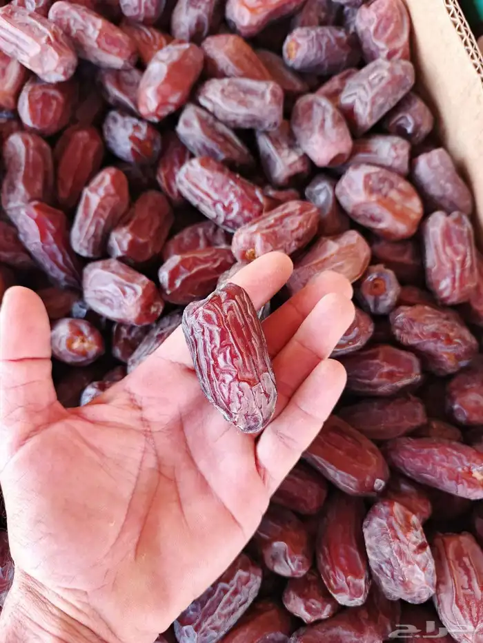 يتوفر تمر خضري للبيع 0