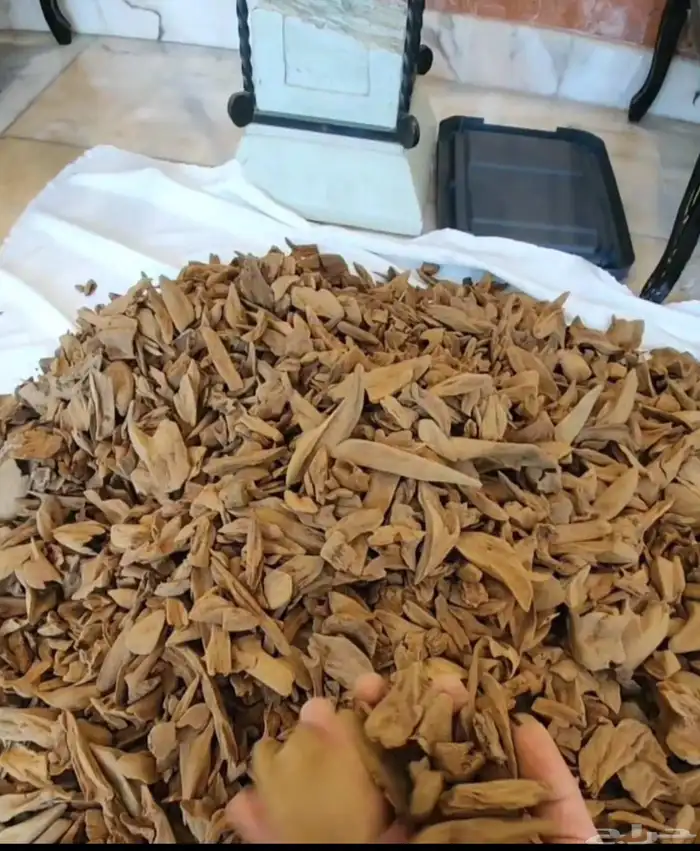 عود مروكي طبيعي جودة ونكهة وأسعار غيرر 0