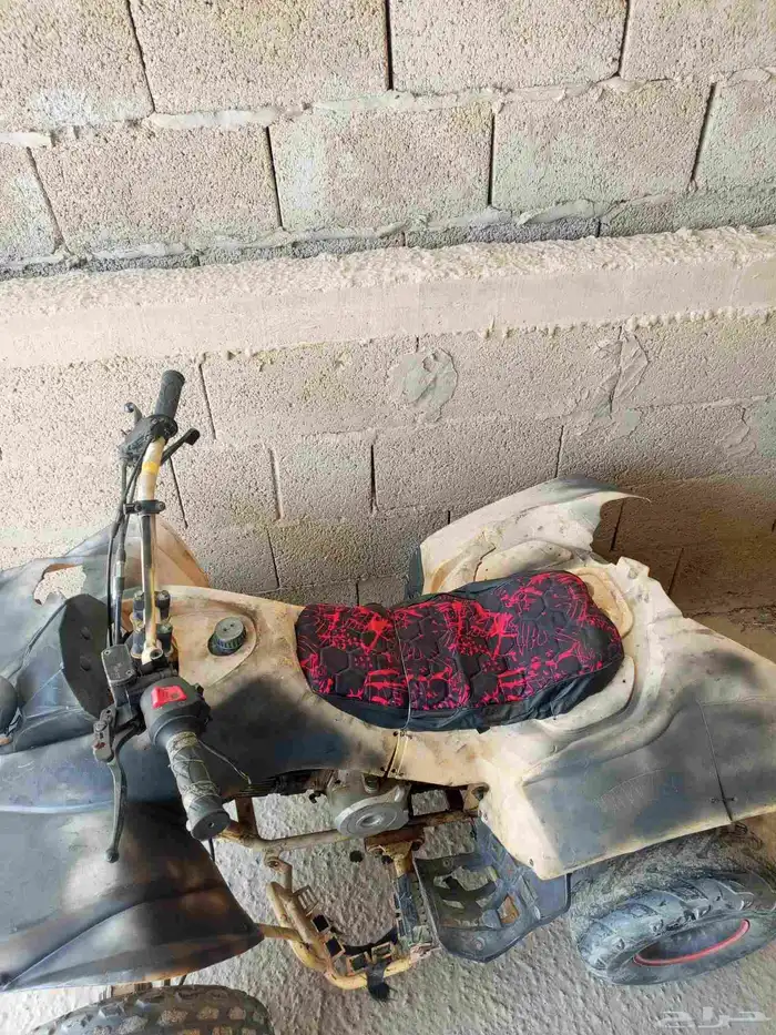 دباب 1
