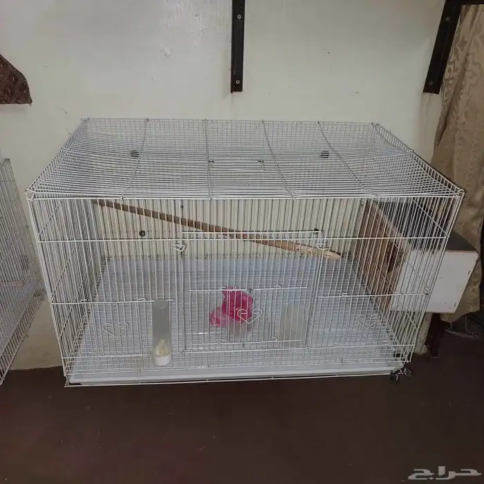 3 اقفاص مع طير 0