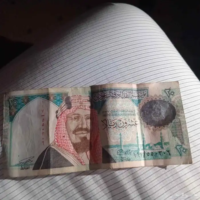 لا يجي الا صامل 0