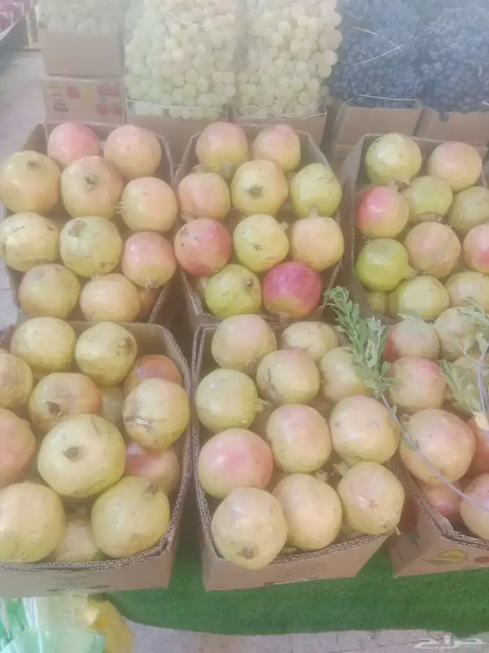 فواكه الطائف 4