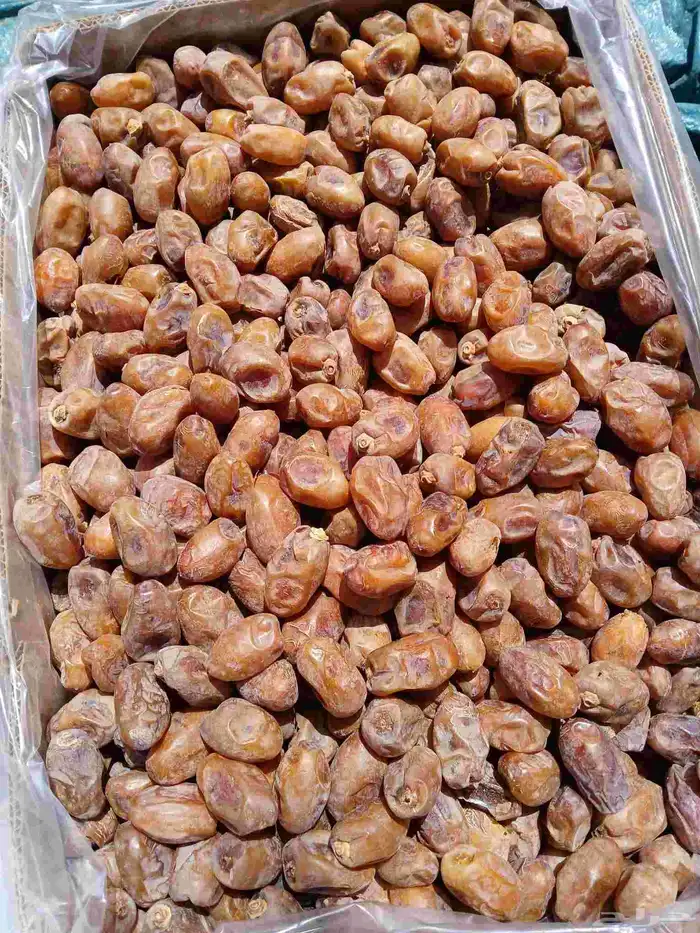 مطلوب تمر فله 0