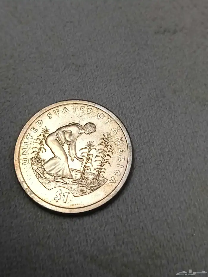 دولارات امريكيه حالات ممتازه 8