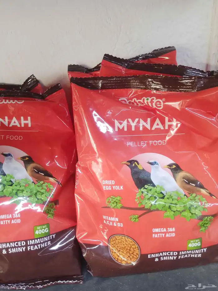 محل قطه وطير 4