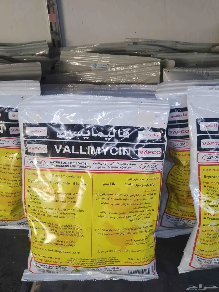 محل قطه وطير 3