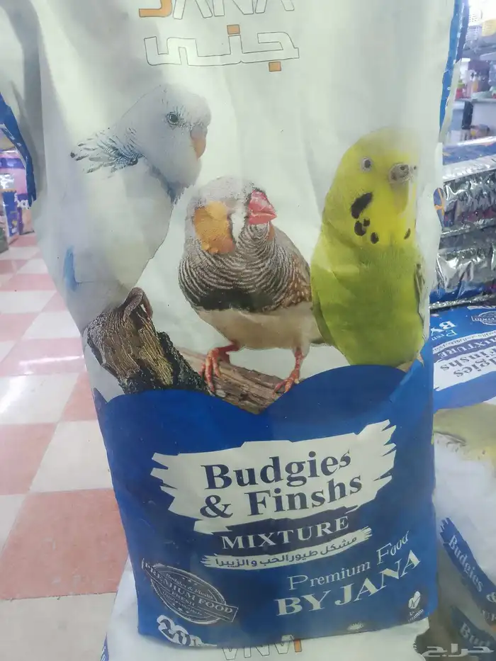 محل قطه وطير 1