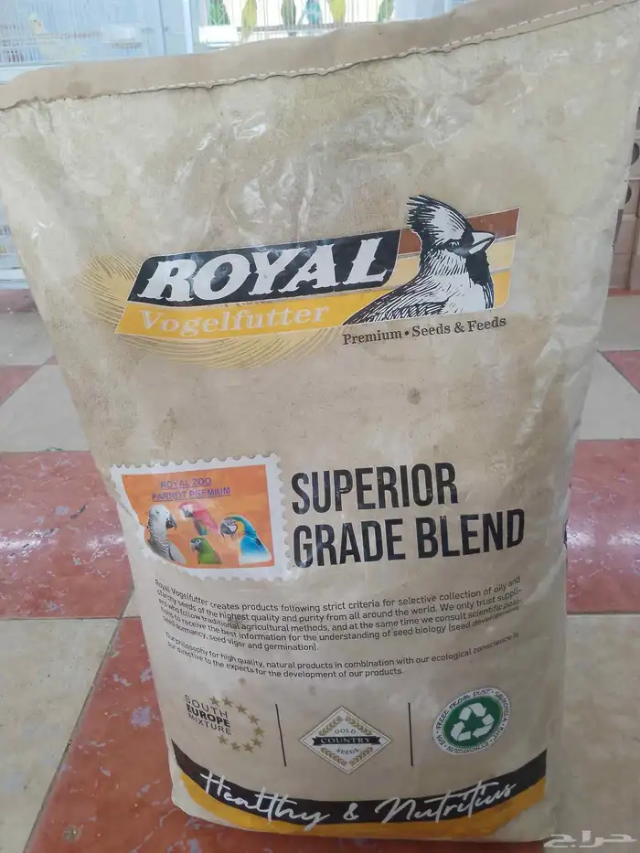 محل قطه وطير 2