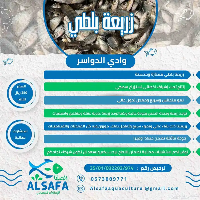 زريعة بلطي محسنة 0