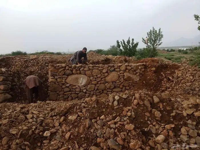 حجر بنيان حجر بنيان 0
