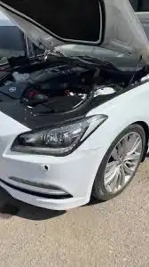 مكينه كيا كرنفال جنسس سوناتا 1