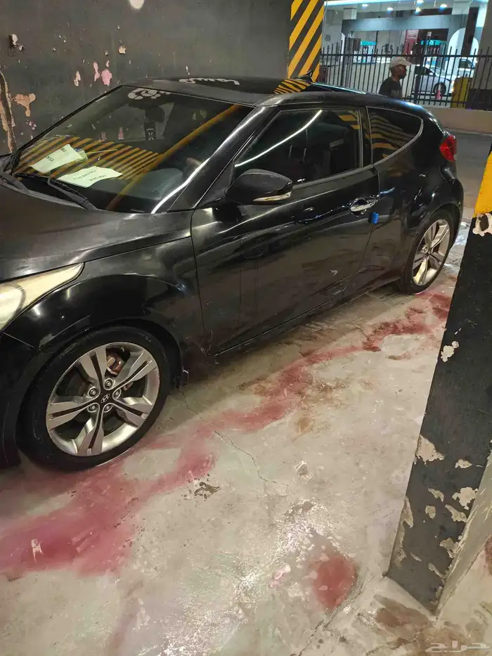 هيونداي فلوستر 2012 6