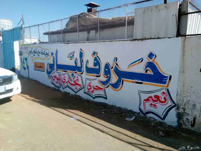 خطاط ورسام جداريات وكافه الإعلانات واللوحات الإرشادية والمحل 9
