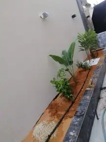 تنسيق حدائق وزراعه النخل والاشجار 8