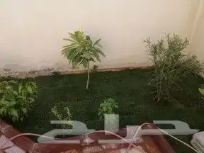 تنسيق حدائق وزراعه النخل والاشجار 6