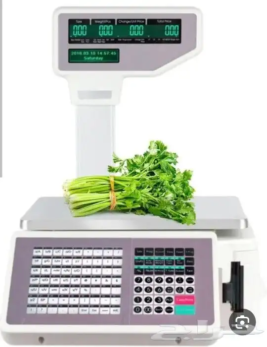 كاشيرات متخصصه في المطاعم الكافي تموينات فنادق معتمد مجاني 0