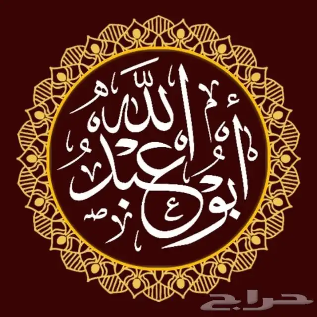 خط  رسم  لوحات فنية 0