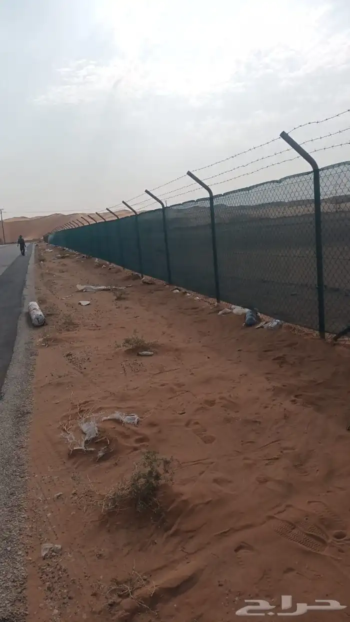 شبوك جميع أنواعها اسعار مناسبه عيد الوطن 0