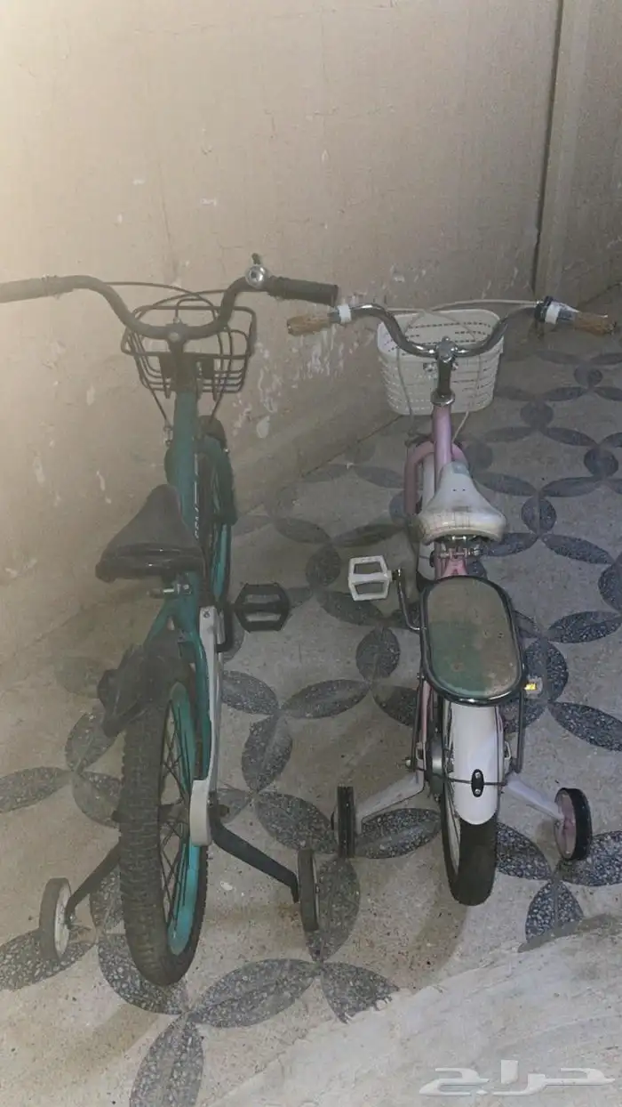 سياكل سليمه 1