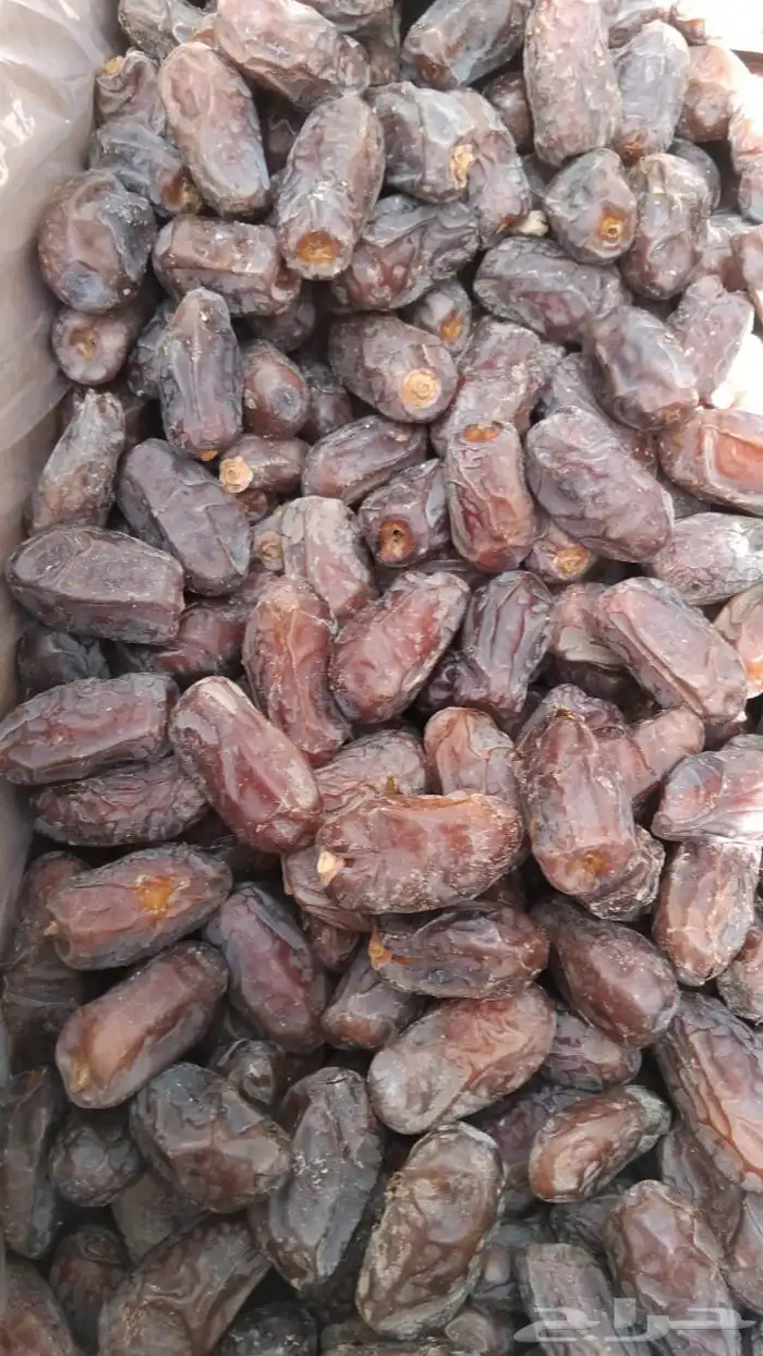 عندنا تمر ناشف للبيع من جميع النوعيات 3