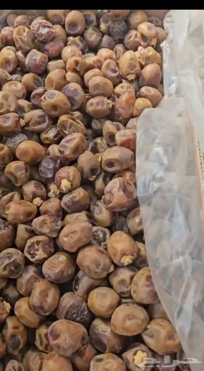 عندنا تمر ناشف للبيع من جميع النوعيات 0