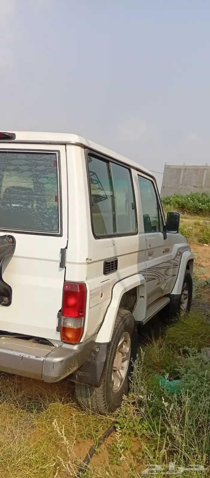 جيب ربع 2010 5