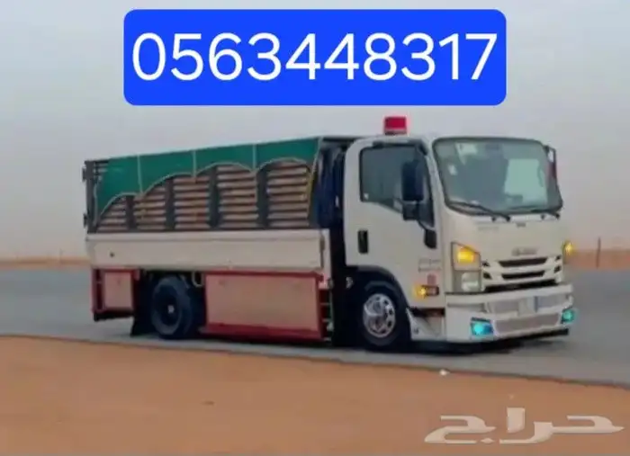 دينا عفش الجموم الجموم 0