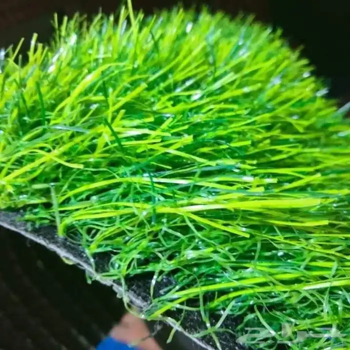 عشب صناعي 3 سنتي 4سنتي 5سنتي 6