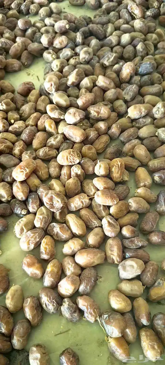 تمر خلاص عضوي 0