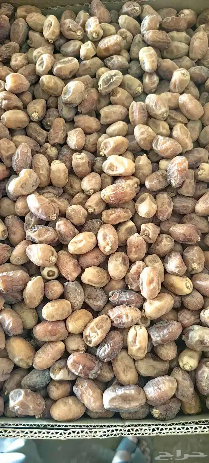 تمر خلاص عضوي 3
