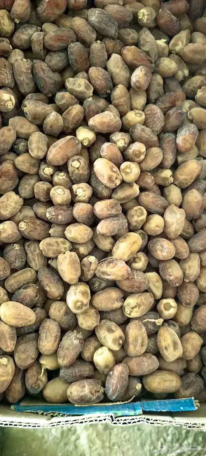 تمر خلاص عضوي 2