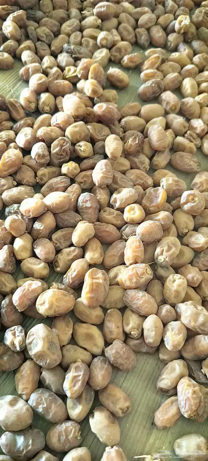 تمر خلاص عضوي 1