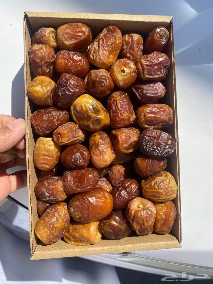 تمر صقعي وسكري 5
