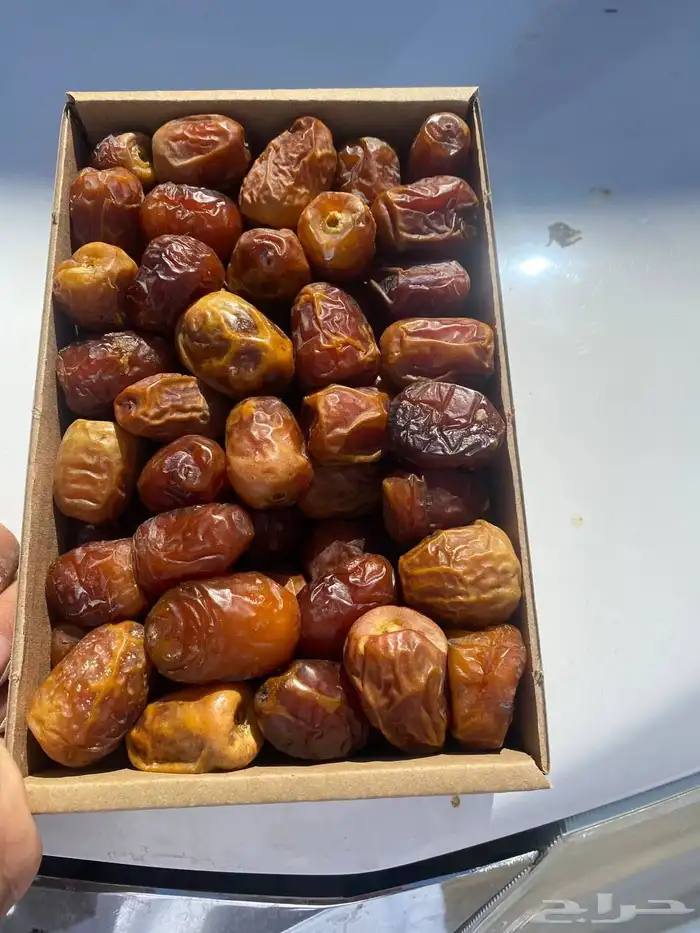 تمر صقعي وسكري 4