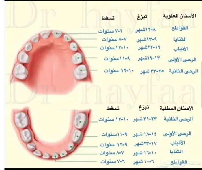 نشر ابحاث وعداد الرسايل الماجستير والدكتوره 0