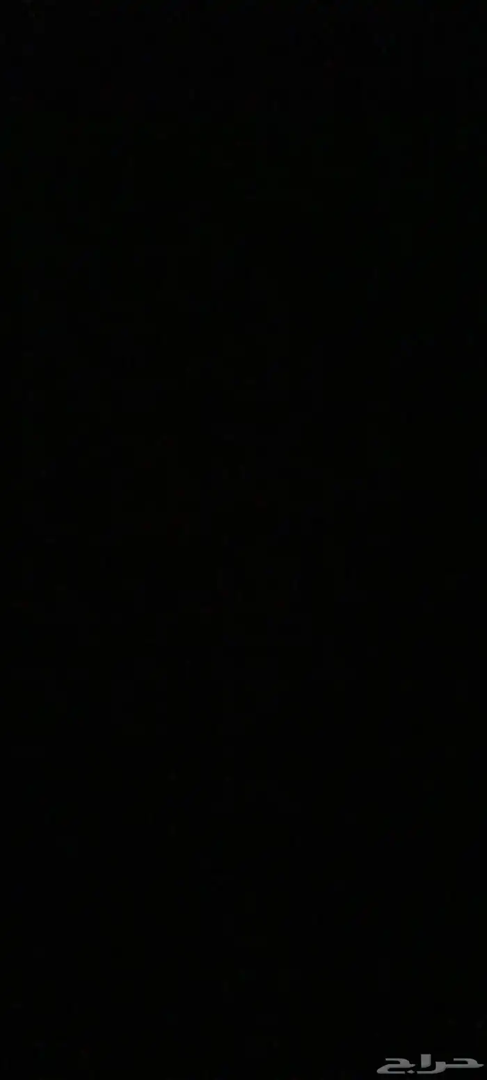 معي قطه لتبني شيرازي عمرها سنه 0