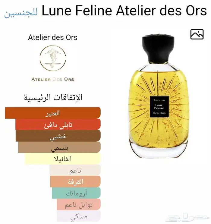 عطر لون فلين 3