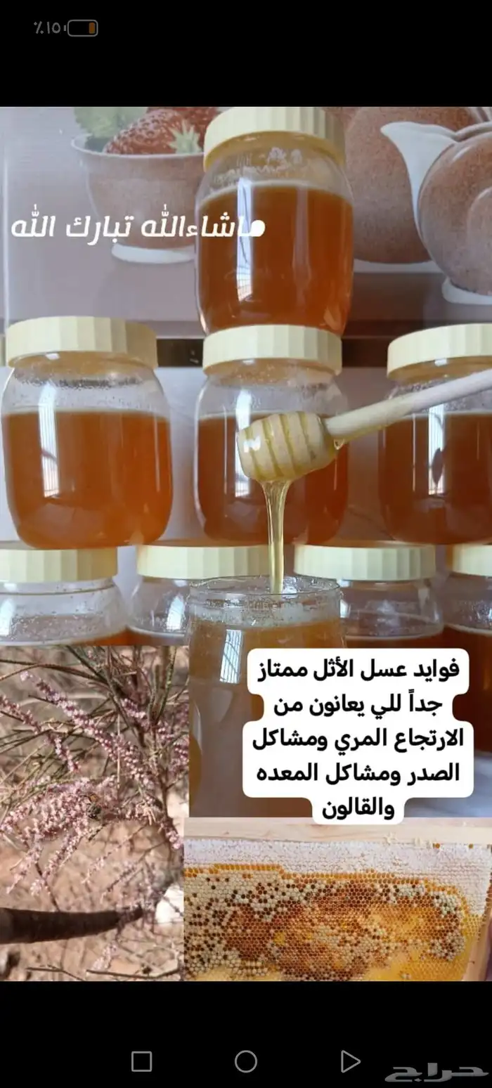 عسل الأثل اصلي علئ الشرط 0