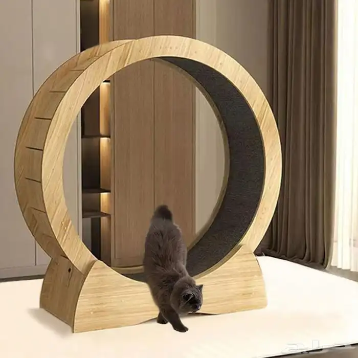 جهاز سير قطط 0