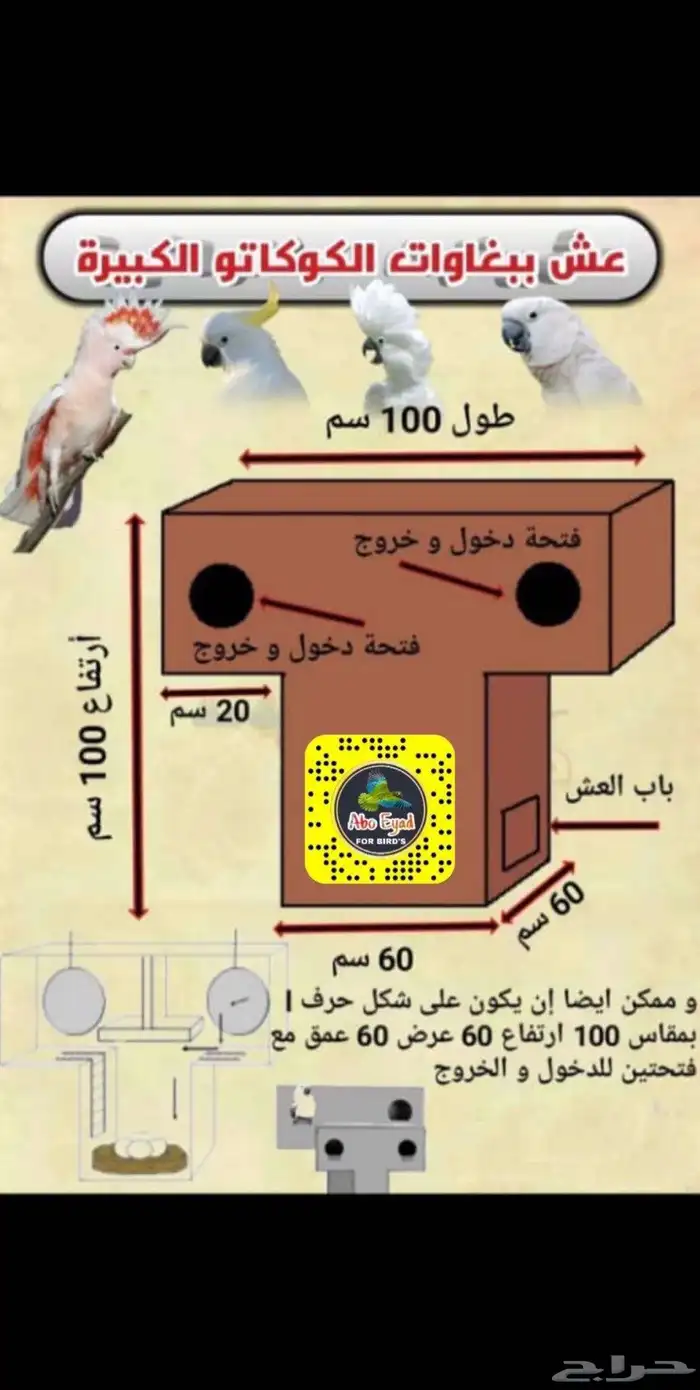 بياضة طيور للطيور الكبيرة 1