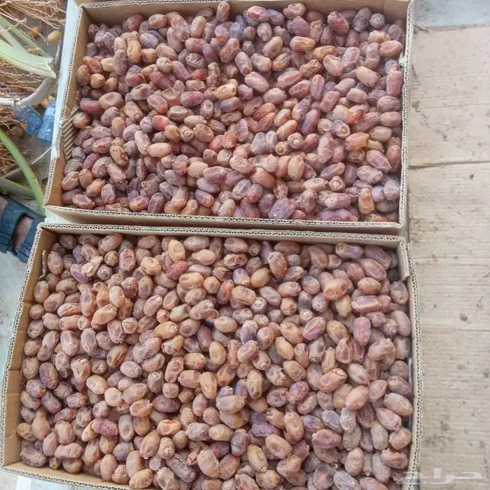 تمر خلاص للبيع 0