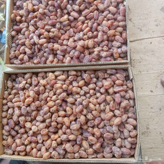 تمر خلاص للبيع 7