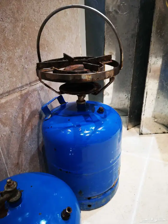 مجموعة دوافير مختلفة العدد سته 2