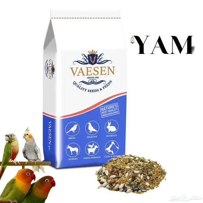 اكل طيور حبوب منوعة غني بالفيتامينات كروان روز كنيور الخخ. 0