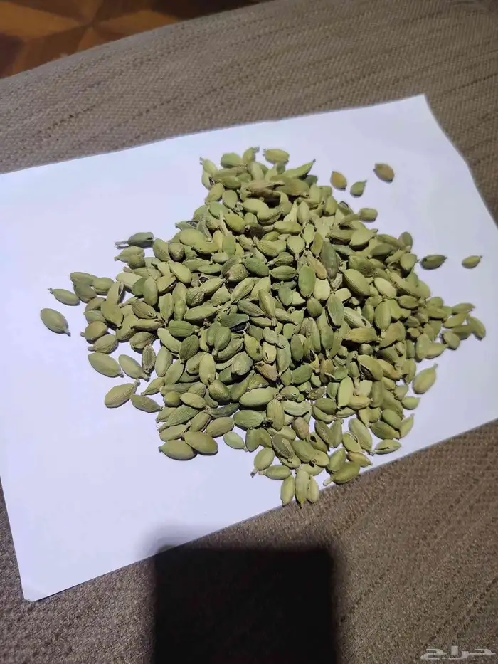 هيل أمريكي فاخر 4