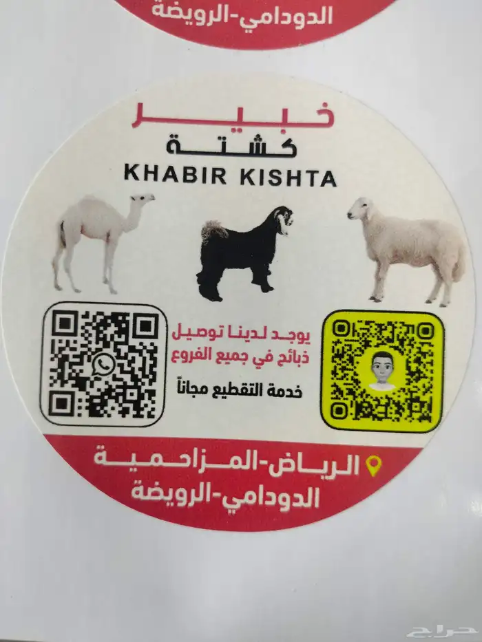 ارنب بلدي أرنب بصحة جيدة. لحمه لذيذ وله فوائد عديدة. 0