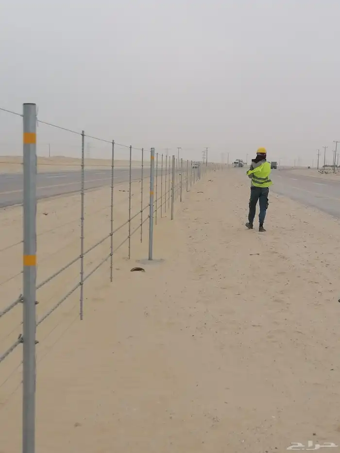 لشغل سدر ونخل عربي واشنطني شبك 2