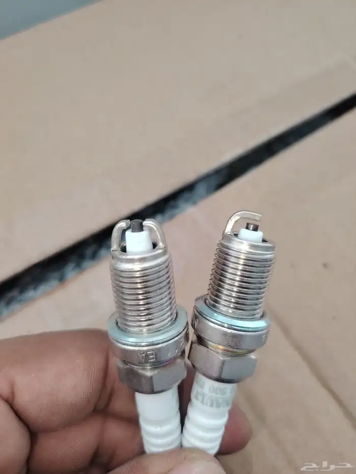 رينو بجميع انواعها 7