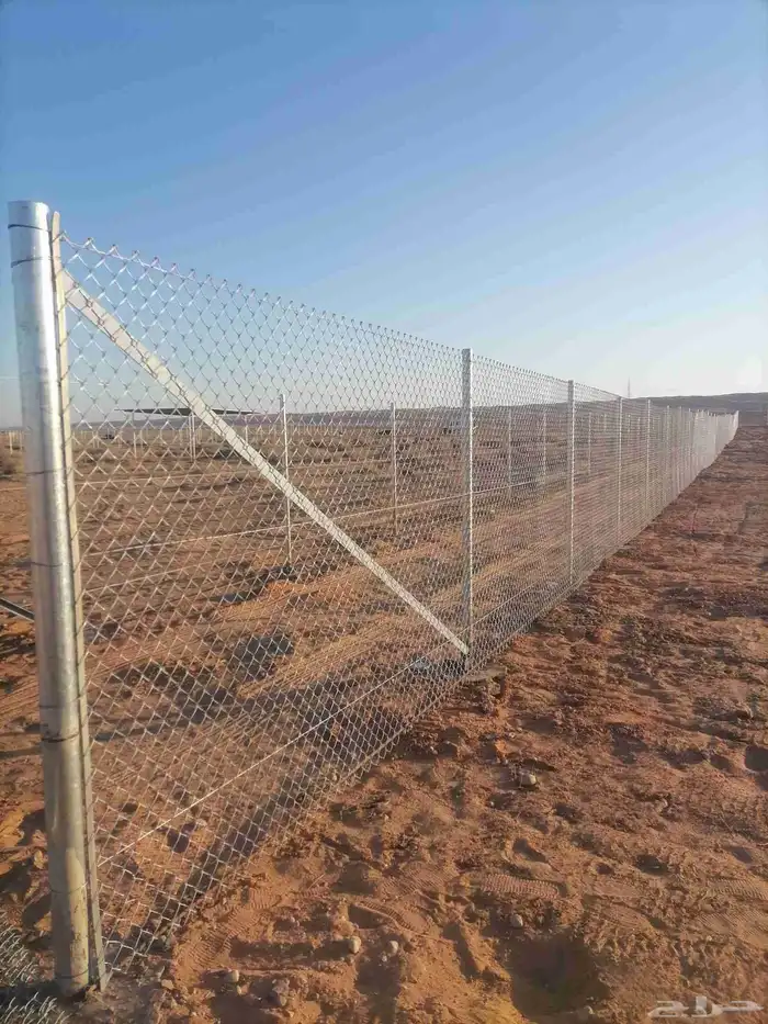 لشغل سدر ونخل عربي واشنطني شبك 4