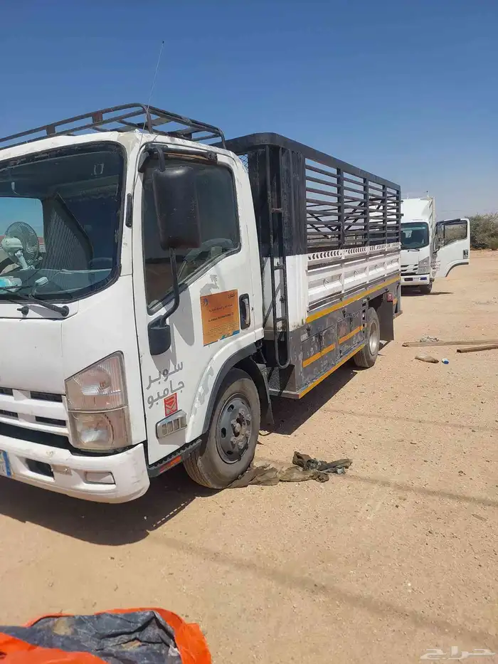 دينا 2012 مفحوص مجدد 0